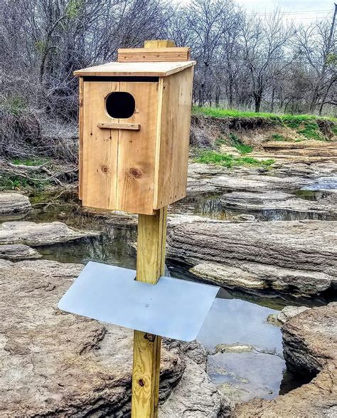 metal wood duck box|wood duck box location.